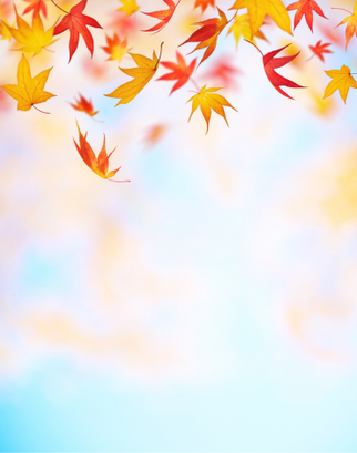 Fall.png