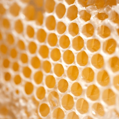beeswax.jpg
