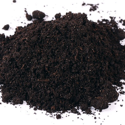 peat.jpg
